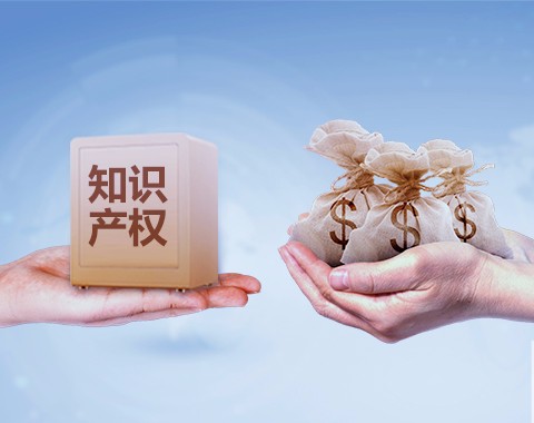 知识产权质押贷款